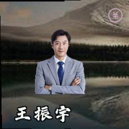 王振宇